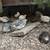 Jumbo coturnix quail 1 thumbnail