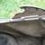 Craftsman rear lawn mower bags grass catchers, some new 11 thumbnail