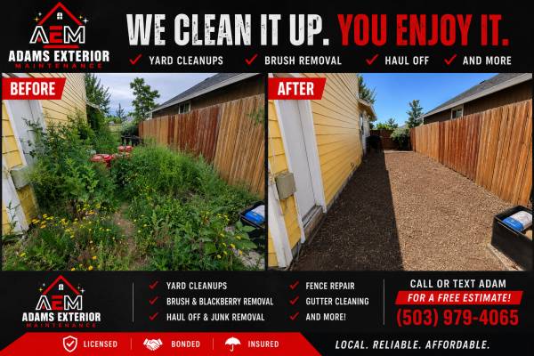 Yard Cleanup • Blackberry Removal • Fence Repair 1