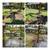 Yard Cleanup/Roof Moss Removal/Pressure Washing/Fencing/Landscaping 24 thumbnail