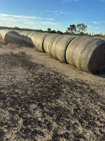 Coastal Round Bales 1