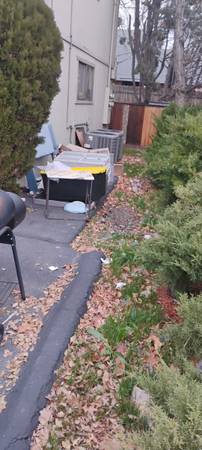 Ace Yard/Lot CleanUps 👍 Hauling 🚚  Leaf Cleanups $200+ 1