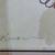 Rudolph Carl Gorman Signed Lithograph: Evie (State II), 1979, #6/70 2 thumbnail