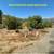 Lake Madrone Community Vacant Lot For Sale 8 thumbnail