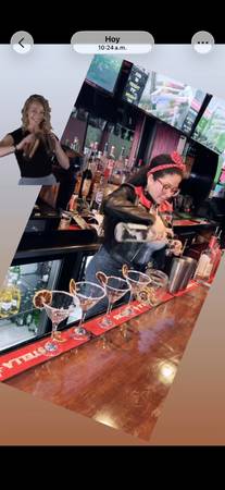 Mobile bartender service 1