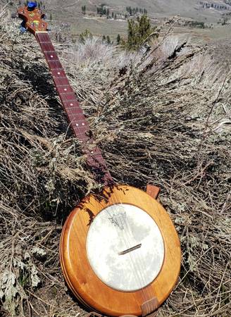 Mountain Banjo, 5 string 1