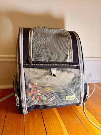 Cat backpack 1