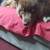 Free purebred husky 1 thumbnail