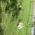 Duck family 1 thumbnail