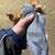 $6 barn, pigeons 10 thumbnail