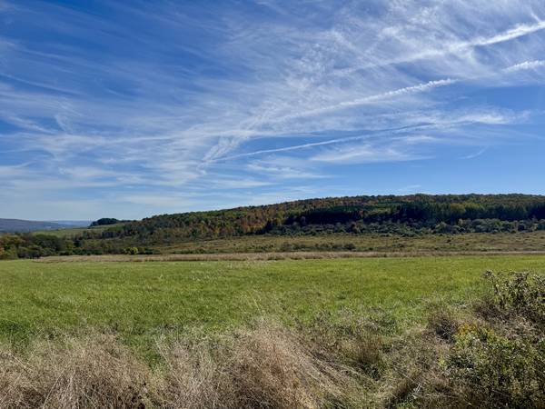 $234,900 / 400ft2 - 99 acres WOODS and TILLABLE LAND with CABIN and POND in Belfast NY (Belfast, NY)63986350338690122