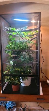 Chameleon setup 1