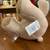 Like New Cream and Brown Colored Build a Bear Teddy Bear with Backpack 6 thumbnail