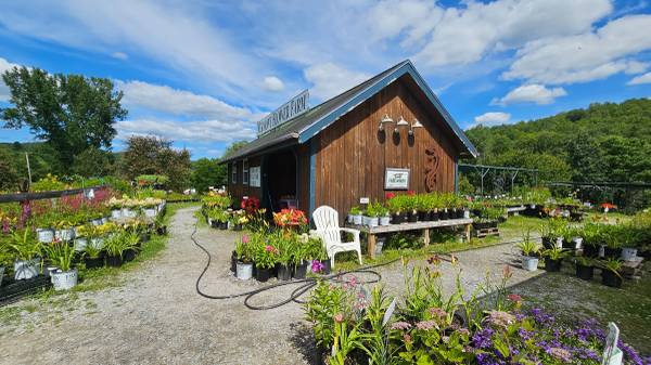 $450,000 / 413ft2 - Flower Farm For Sale! (Marshfield)63976978722306122