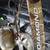 Diamond Edge 58-1 compound bow 14 thumbnail