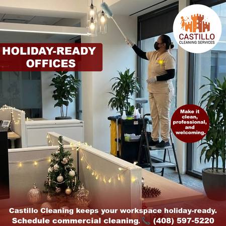 Christmas Guests Coming? Professional Home Cleaning Available 1