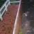 FALL GUTTER CLEANING AND PROTECTION 2 thumbnail