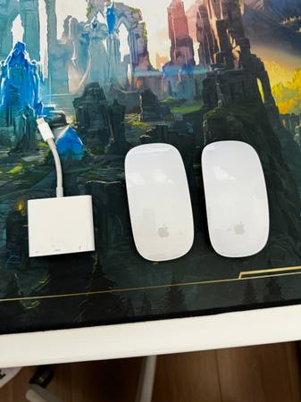 Magic Mouse (2x mice) & Apple USB-C Digital AV Multiport Adapter 1