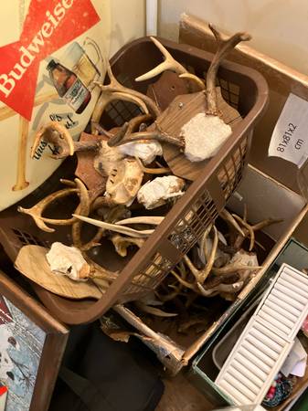 Boxes of antlers 1
