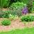 MULCH DELIVERY SALE fresh wood chips natural brown landscaping bed 3 thumbnail