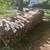 Oak firewood 1 thumbnail