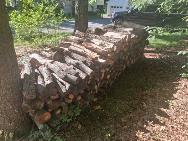 Oak firewood 1