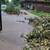 Miguel's yard clean up.mowing.gutter.cleaning 8 thumbnail