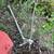 SHRUB REMOVE SERVICES WE HAVE THE RIGHT TOOLS 5 thumbnail