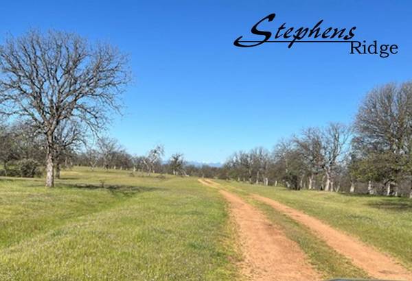 $110,000 COTTONWOOD LOT 28 WITH 40 ACRES,  VIEW AND ACCESS (COTTONWOOD)63972381963139121