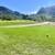 1+1 with FREE GOLF + AVAIL OCT-DEC 6 thumbnail