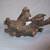 REPTILES & EXOTIC PETS DECOR 7 thumbnail