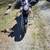 1995 Honda Shadow American Classic Edition 1100cc 13 thumbnail