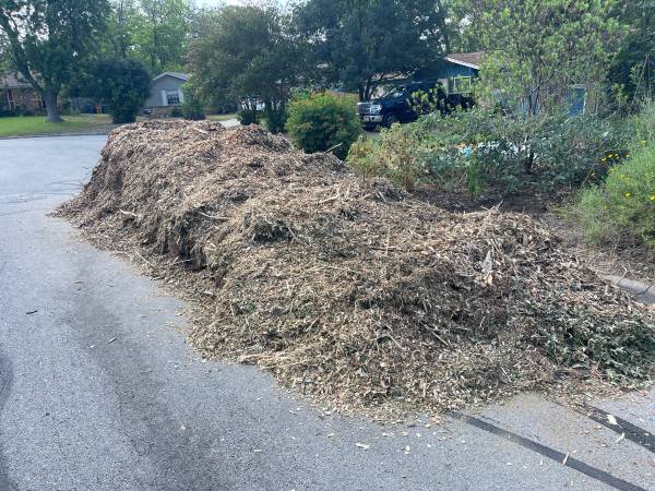 Free Arborist Wood Chip Mulch 1