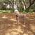 *Pet Sitting / Boarding Short Term / Long Term*Home Environment* 23 thumbnail