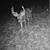 Camping Hunting Lease 8 thumbnail