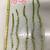 Anacharis aquarium stem plants 5 stems 10”-15” long 2 thumbnail