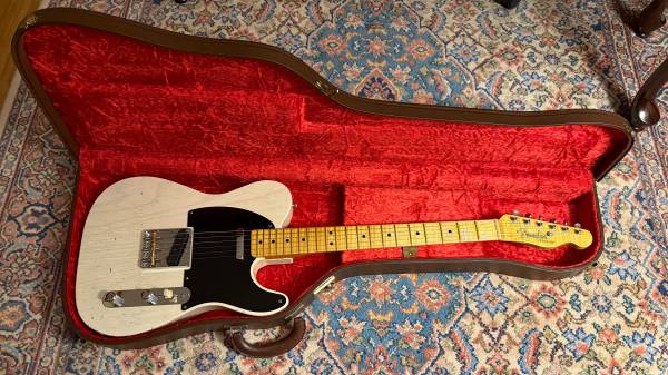 Fender Strat or Tele Poodle Case 1