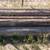 8' Long Electric / Power Poles (sold each - 8 poles available) 2 thumbnail