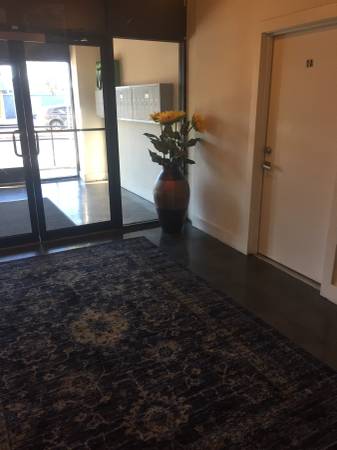 $1,790 / 1br - 900ft2 - 201 Spring Garden Street Unit-5C (Philadelphia)64024497292674122
