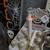 Spooky Halloween Decor Bundle - Signs, Skull Knocker, & Lights (Priced to Move!) 5 thumbnail