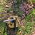 Mcculloch Mini Mac 6 Top Handle Chainsaw Runs Then Dies 1 thumbnail