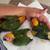 Sun conure babies 2 thumbnail