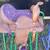 Kids saddle 3 thumbnail