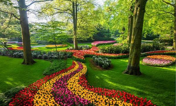 Garden Maintenance VERNARD D SMITH 1