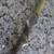 SKLZ Tempo & Grip Golf Swing Trainer 3 thumbnail