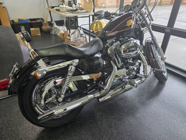 2007 Harley Davidson 1200 Sportster 50th Anniversary Edition 1