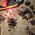 Vintage C9 C7 Christmas Tree Lights & Candles Mid Century Goodnesss 14 thumbnail