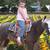 Pony Saddle & Pad !! Child’s Saddle or Miniature Horse 4 thumbnail