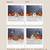 Males netherland dwarf rabbit 1 thumbnail