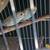 parakeets 8 thumbnail